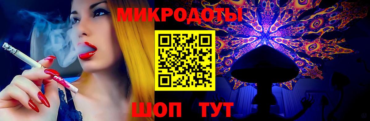 Псилоцибиновые грибы Psilocybine cubensis Алексин